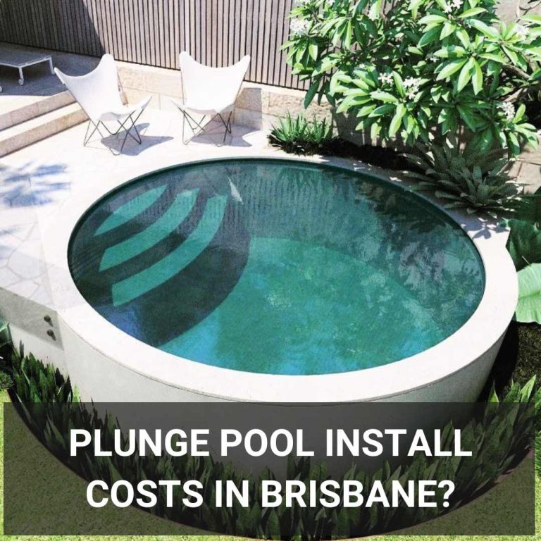 Beautiful round plunge pool in Brisbane