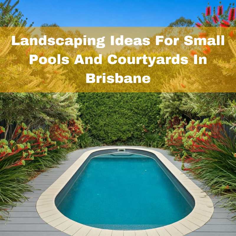 Landscaping ideas for small pools and courtyards in Brisbane