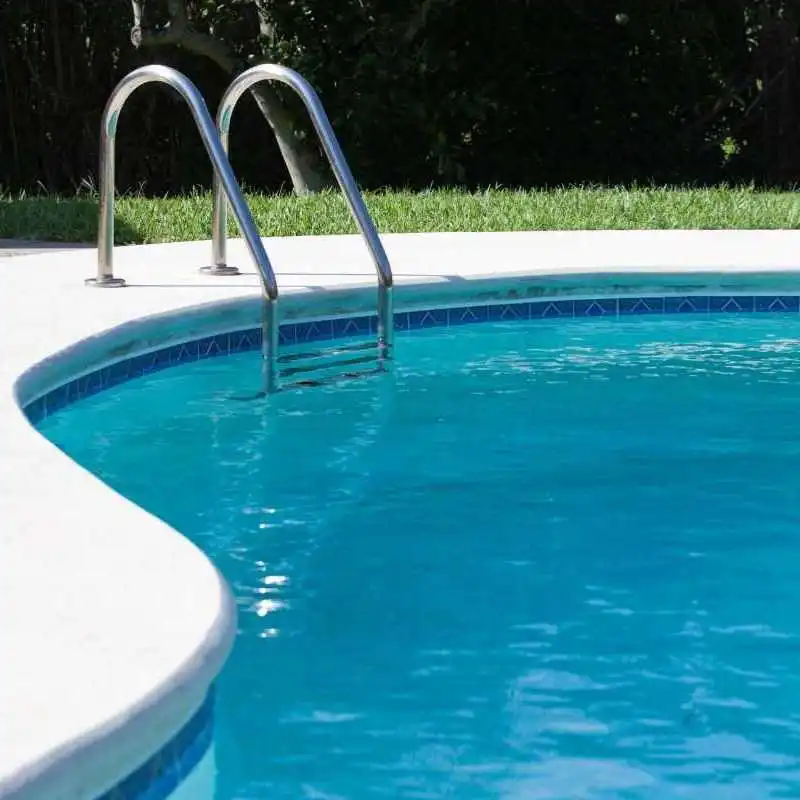 Freeform swimming pool with curved edges and stainless steel ladder in Grange backyard