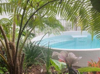 Custom spa plunge pool